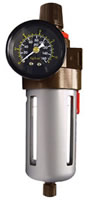 Filter/Regulator  with Gauge for  Compressed Air System